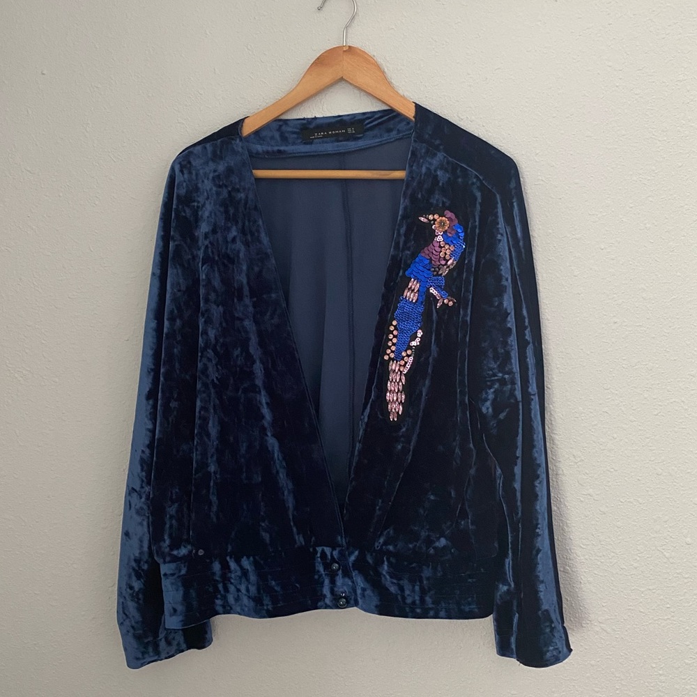 Zara Crushed Velvet Jeweled Bird Top